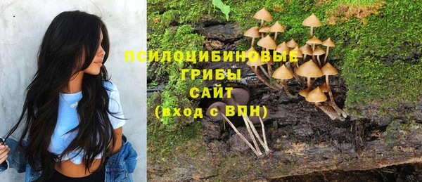 бошки Покачи