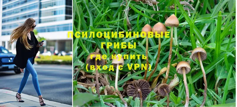 даркнет сайт  Кораблино  Псилоцибиновые грибы Magic Shrooms 